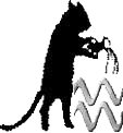 Aquarius Kitty
