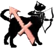 Sagittarius Kitty